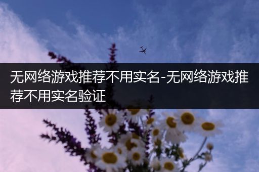 无网络游戏推荐不用实名-无网络游戏推荐不用实名验证