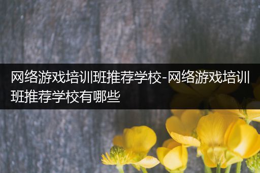 网络游戏培训班推荐学校-网络游戏培训班推荐学校有哪些
