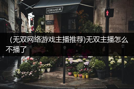 （无双网络游戏主播推荐)无双主播怎么不播了