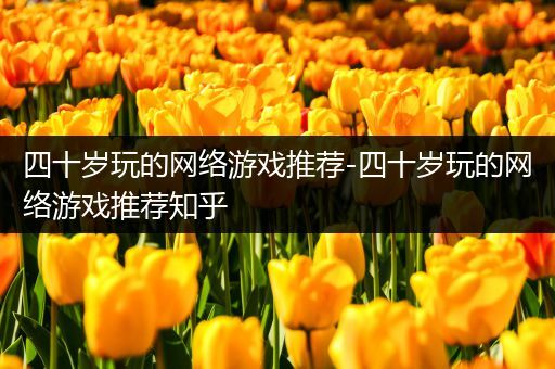四十岁玩的网络游戏推荐-四十岁玩的网络游戏推荐知乎