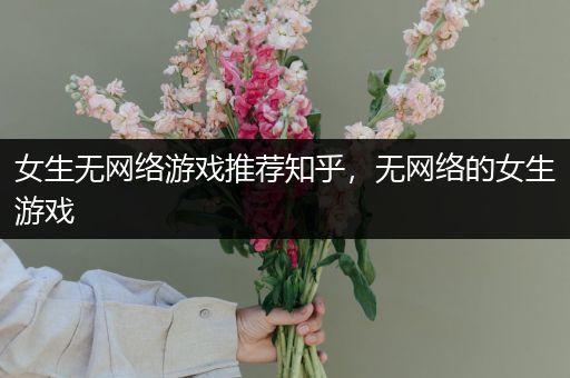 女生无网络游戏推荐知乎，无网络的女生游戏