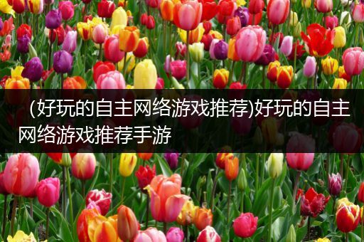 （好玩的自主网络游戏推荐)好玩的自主网络游戏推荐手游