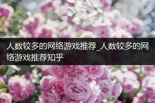 人数较多的网络游戏推荐_人数较多的网络游戏推荐知乎