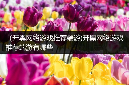 （开黑网络游戏推荐端游)开黑网络游戏推荐端游有哪些