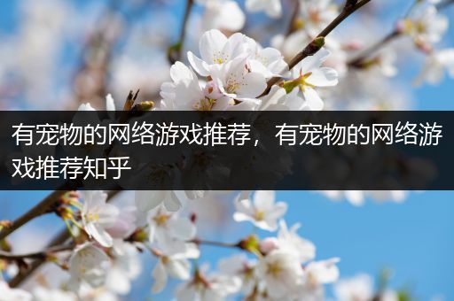 有宠物的网络游戏推荐，有宠物的网络游戏推荐知乎