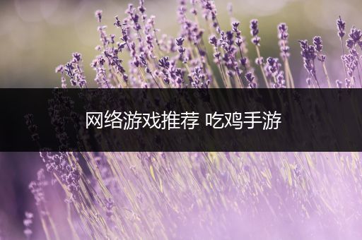网络游戏推荐 吃鸡手游