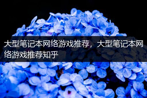 大型笔记本网络游戏推荐，大型笔记本网络游戏推荐知乎