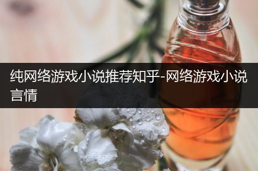 纯网络游戏小说推荐知乎-网络游戏小说言情