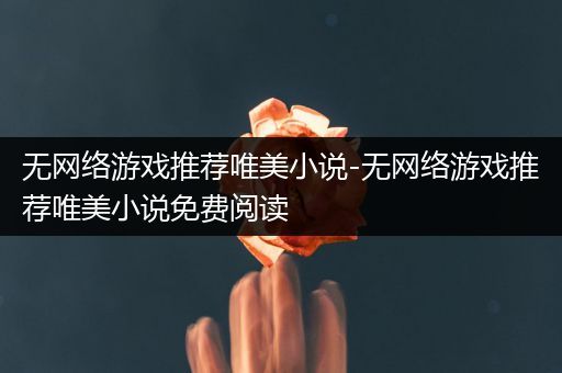 无网络游戏推荐唯美小说-无网络游戏推荐唯美小说免费阅读