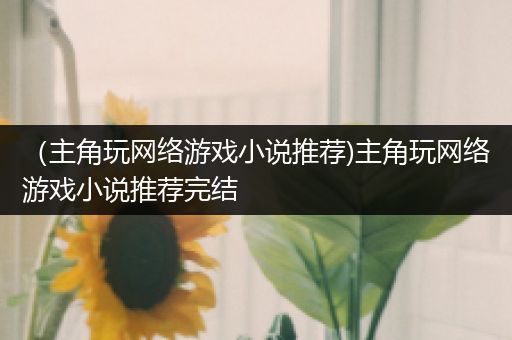 （主角玩网络游戏小说推荐)主角玩网络游戏小说推荐完结
