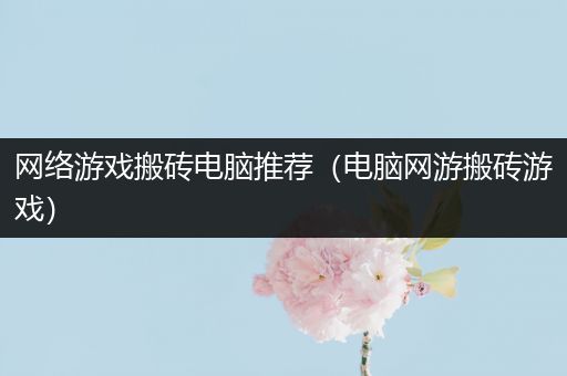 网络游戏搬砖电脑推荐（电脑网游搬砖游戏）