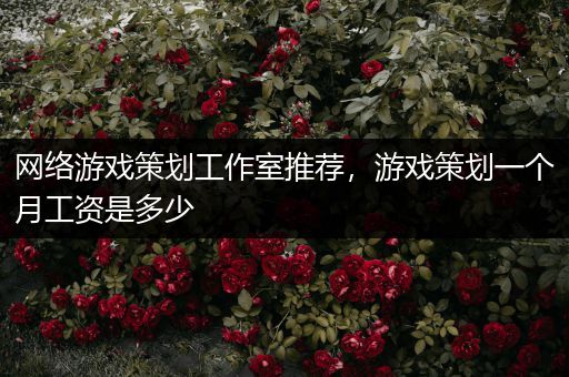 网络游戏策划工作室推荐，游戏策划一个月工资是多少