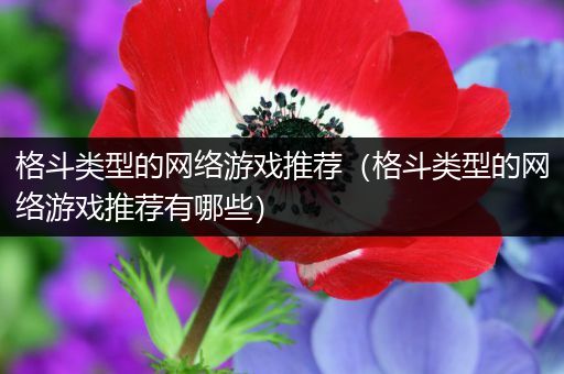 格斗类型的网络游戏推荐（格斗类型的网络游戏推荐有哪些）