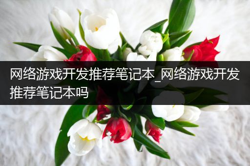 网络游戏开发推荐笔记本_网络游戏开发推荐笔记本吗