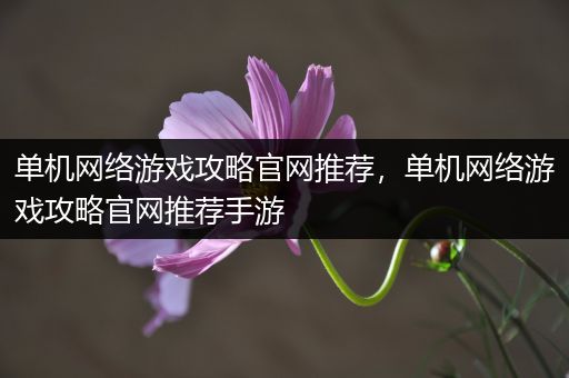单机网络游戏攻略官网推荐，单机网络游戏攻略官网推荐手游