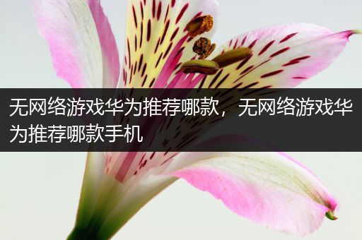无网络游戏华为推荐哪款，无网络游戏华为推荐哪款手机