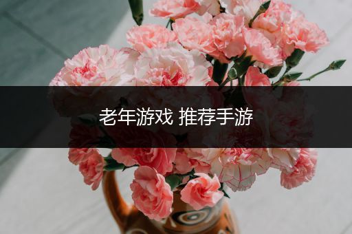 老年游戏 推荐手游