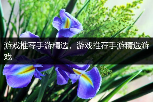 游戏推荐手游精选，游戏推荐手游精选游戏