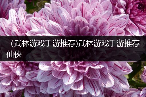 （武林游戏手游推荐)武林游戏手游推荐仙侠