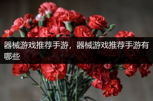 器械游戏推荐手游，器械游戏推荐手游有哪些