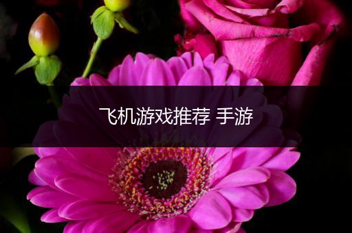 飞机游戏推荐 手游