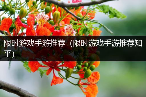 限时游戏手游推荐（限时游戏手游推荐知乎）