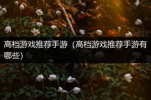 高档游戏推荐手游（高档游戏推荐手游有哪些）