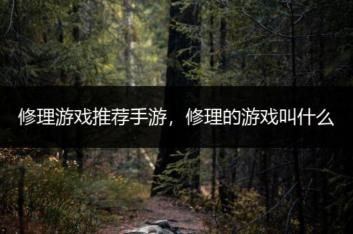修理游戏推荐手游，修理的游戏叫什么