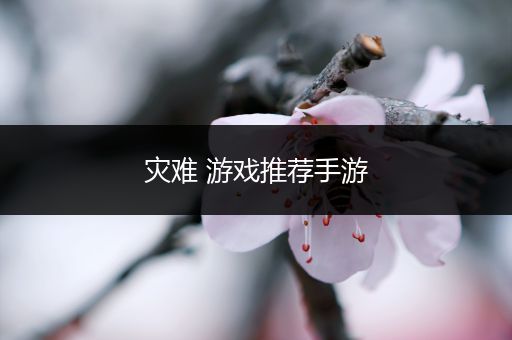 灾难 游戏推荐手游
