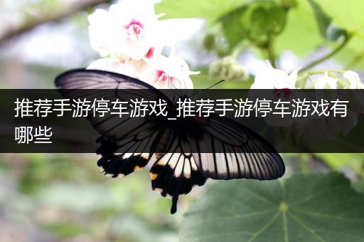 推荐手游停车游戏_推荐手游停车游戏有哪些