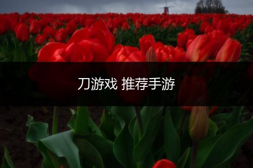 刀游戏 推荐手游