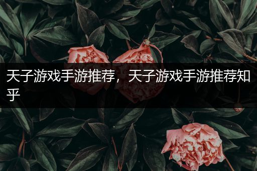 天子游戏手游推荐，天子游戏手游推荐知乎