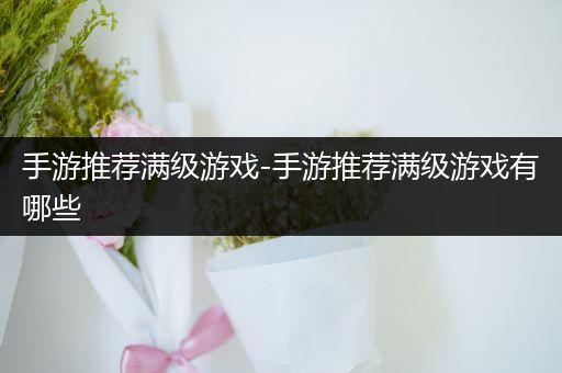 手游推荐满级游戏-手游推荐满级游戏有哪些