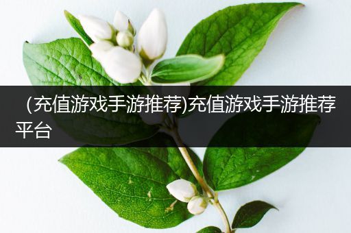 （充值游戏手游推荐)充值游戏手游推荐平台