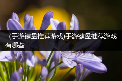 （手游键盘推荐游戏)手游键盘推荐游戏有哪些