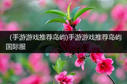 （手游游戏推荐岛屿)手游游戏推荐岛屿国际服
