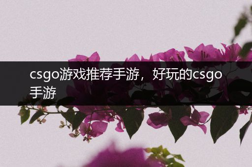 csgo游戏推荐手游，好玩的csgo手游