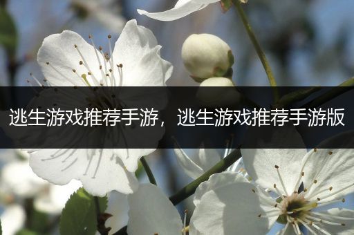 逃生游戏推荐手游，逃生游戏推荐手游版