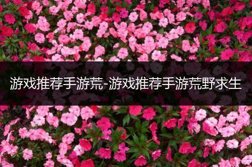 游戏推荐手游荒-游戏推荐手游荒野求生