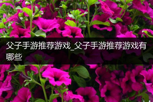父子手游推荐游戏_父子手游推荐游戏有哪些