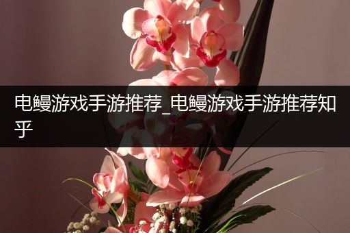 电鳗游戏手游推荐_电鳗游戏手游推荐知乎