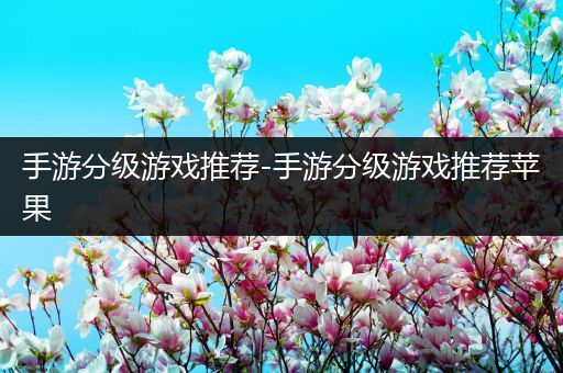 手游分级游戏推荐-手游分级游戏推荐苹果