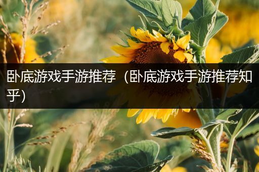 卧底游戏手游推荐（卧底游戏手游推荐知乎）