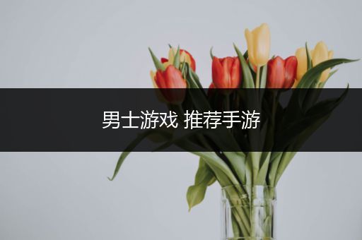 男士游戏 推荐手游