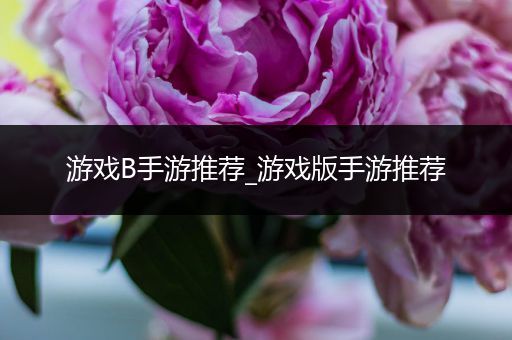 游戏B手游推荐_游戏版手游推荐