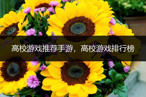 高校游戏推荐手游，高校游戏排行榜