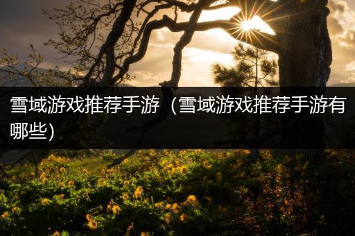 雪域游戏推荐手游（雪域游戏推荐手游有哪些）