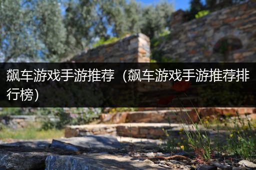 飙车游戏手游推荐（飙车游戏手游推荐排行榜）