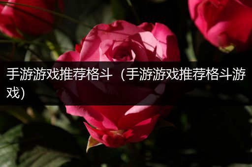 手游游戏推荐格斗（手游游戏推荐格斗游戏）