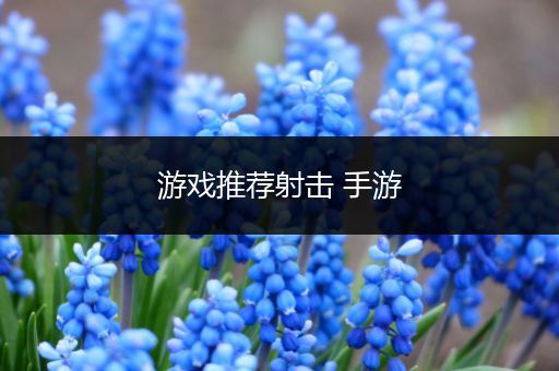 游戏推荐射击 手游